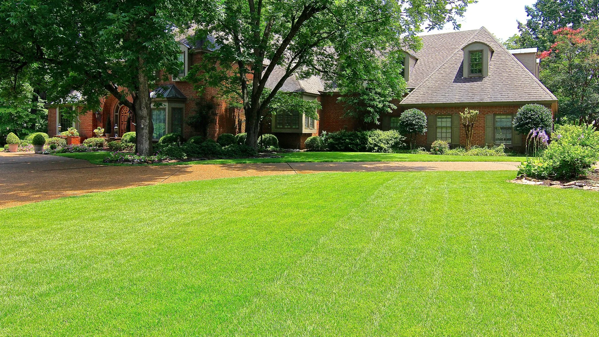 3 Fall Lawn Care Services That Will Prepare Your Lawn for Winter!
