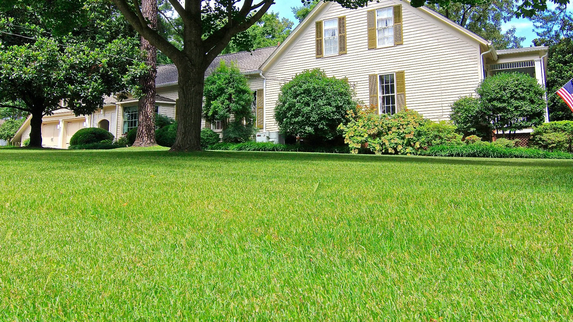 Having Your Lawn Overseeded? Always Pair It With Core Aeration!