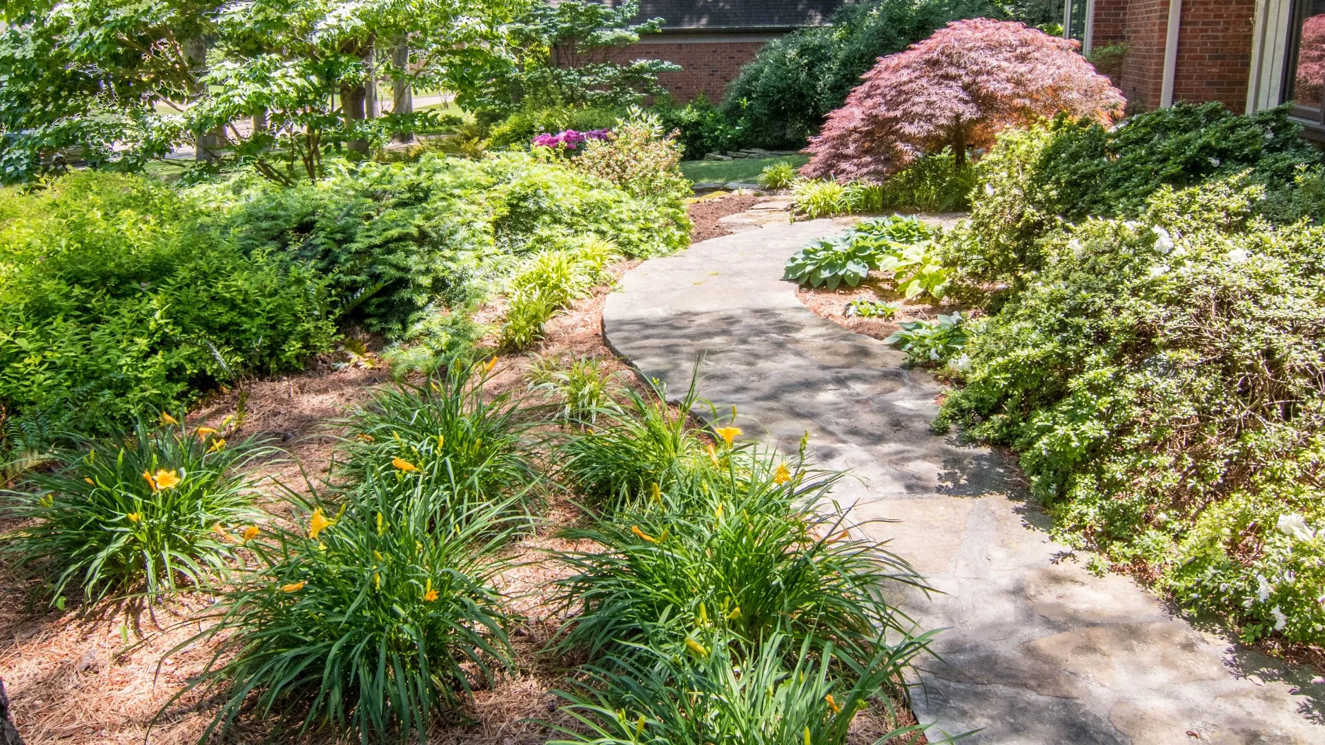 Why Skipping Tree & Shrub Insect Prevention Is a Mistake