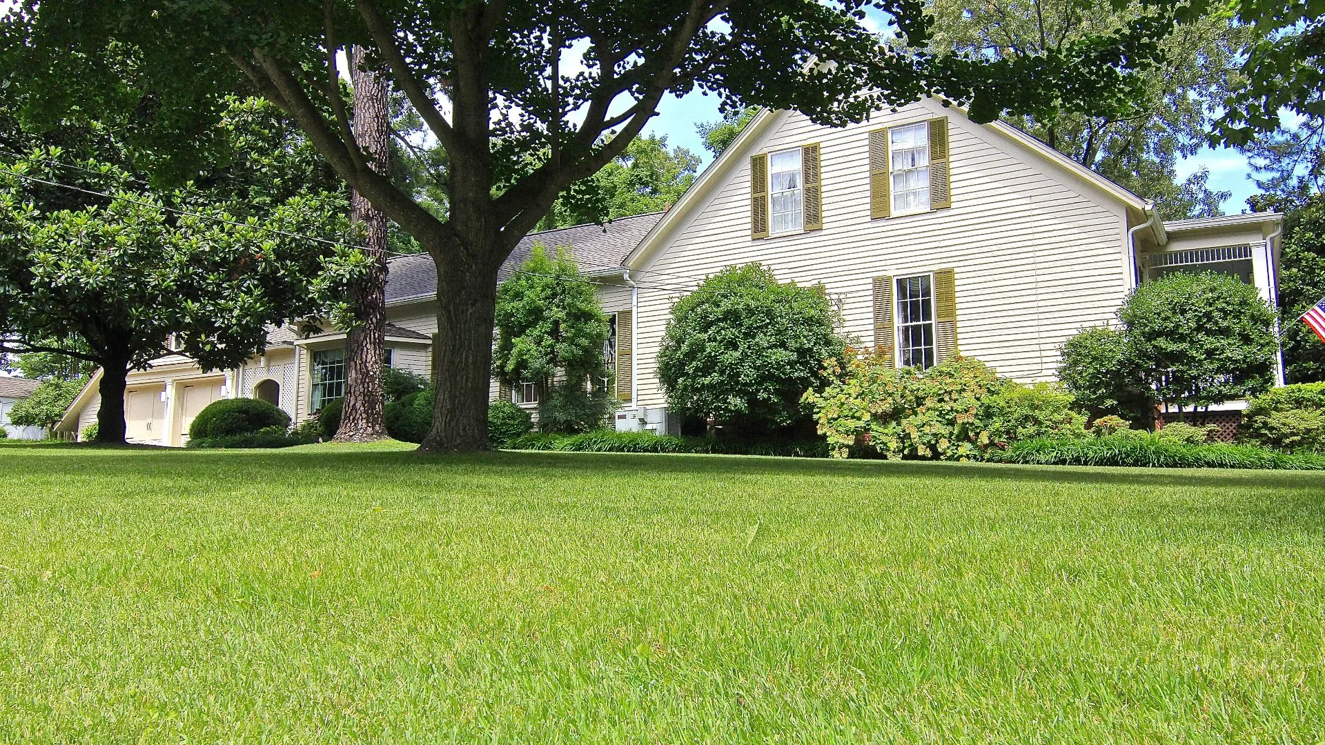 Fertilizing Before vs After Rainfall - Which Is Ideal?