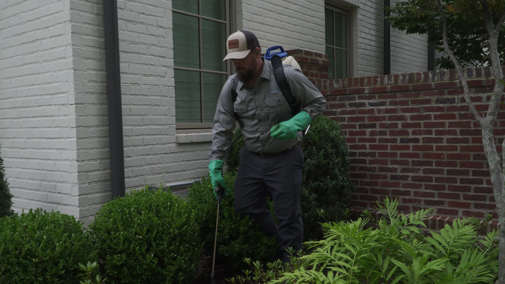 Spraying or Hand-Pulling Weeds in Landscape Beds: Which Method Works Best?