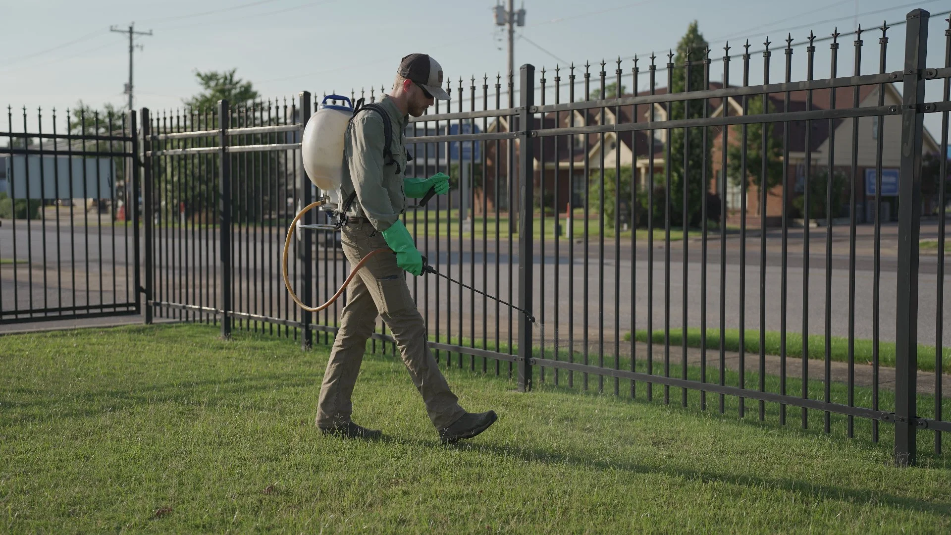 What’s the Difference Between Annual Weeds & Perennial Weeds?