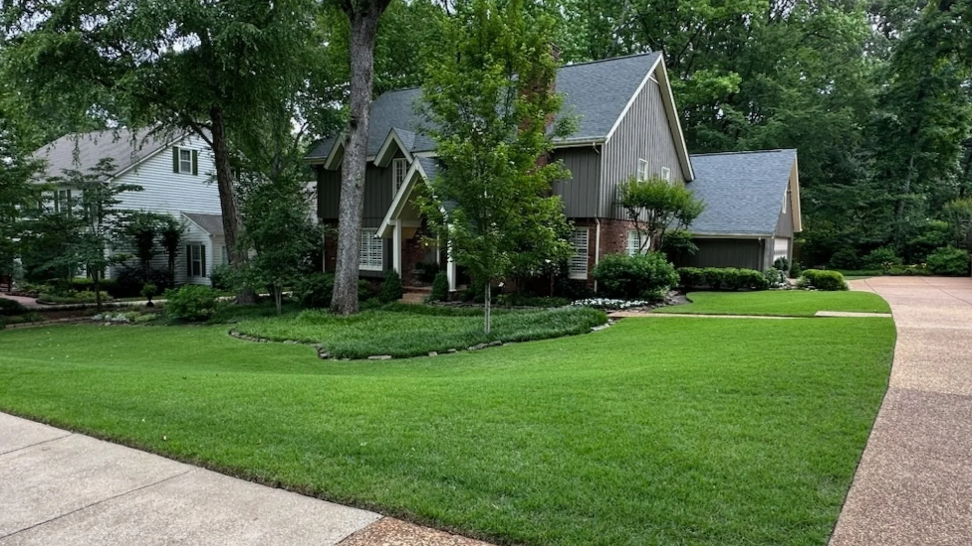How Often Should You Be Overseeding Your Lawn?