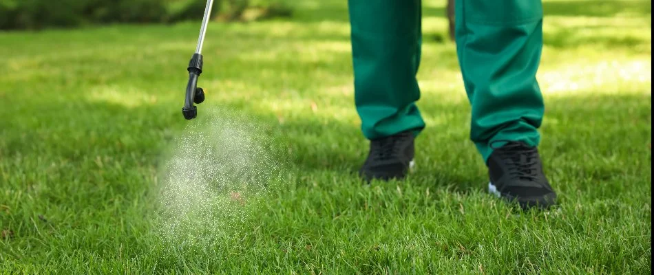 Worker applying a weed control treatment.