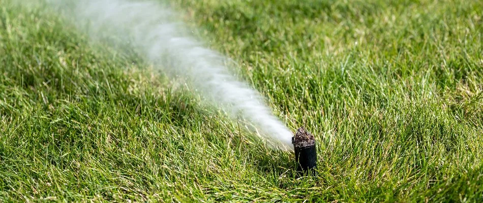 Blowing water out of irrigation sprinkler head in Memphis, TN.