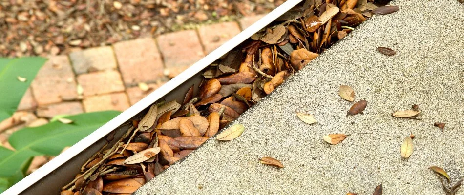 Clogged gutter in Memphis, TN, with leaves.