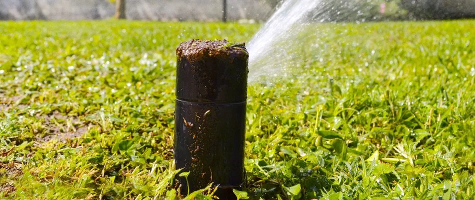 Clogged sprinkler head in Memphis, TN.