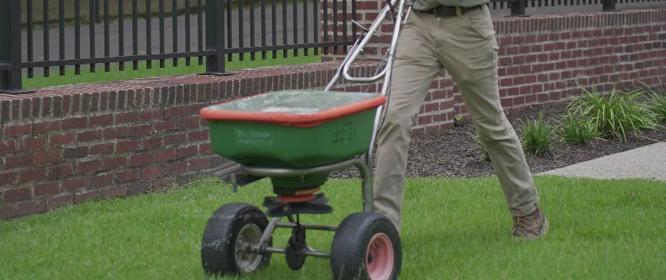 Crew spreading granular fertilizer on grass in Memphis, TN.