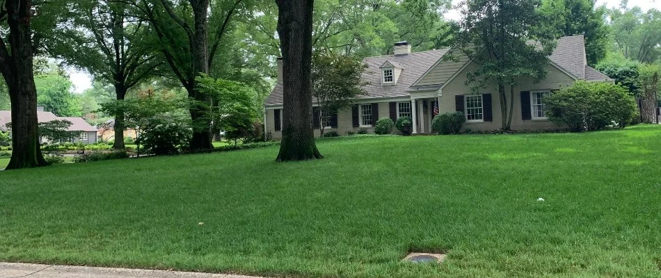 Green, healthy lawn on a property in Memphis, TN.