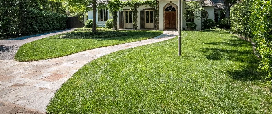 A healthy, fertilized lawn in Memphis, TN, with a walkway to the door and a driveway.