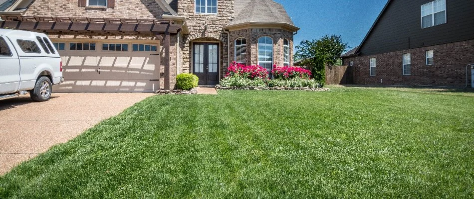 A healthy, fertilized lawn in Memphis, TN, with a white truck in the driveway and red flowers.