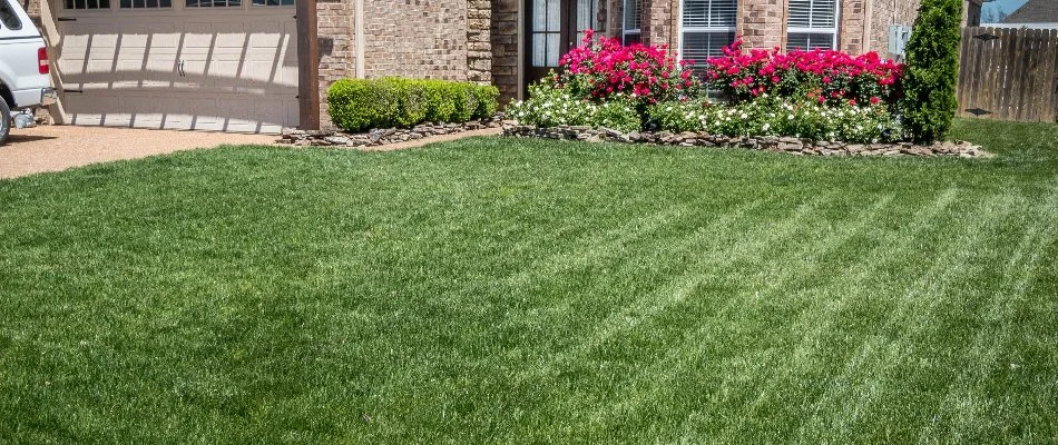 Flowers, shrubs, and a lush lawn in Memphis, TN.