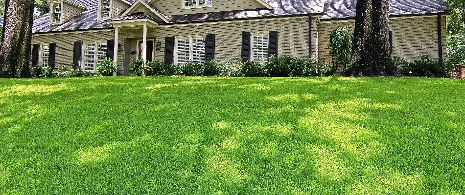 House behind healthy dense grass in Memphis, TN.