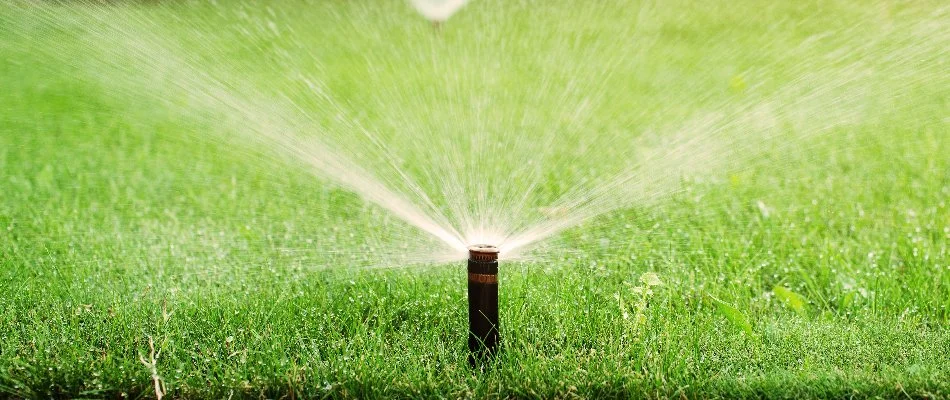 Lawn in Memphis, TN, with irrigation sprinkler head.