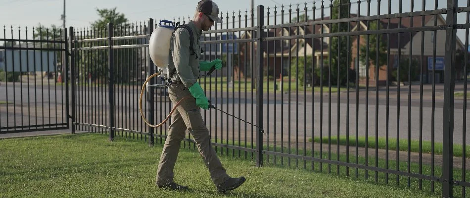 Professional applying weed control treatment on a lawn in Memphis, TN.