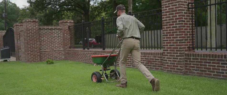 Lawn care professional in Memphis, TN, pushing a granular fertilizer spreader.