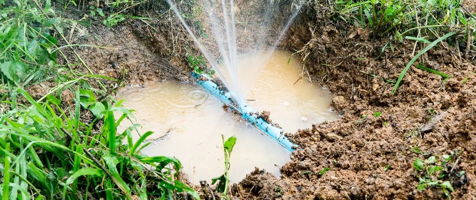 Puddle around a burst water line of an irrigation system in Memphis, TN.