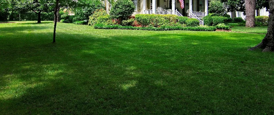 Shrubs and weed-free lawn in Memphis, TN.