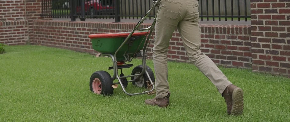 Worker spreading granular fertilizer on grass in Memphis, TN.