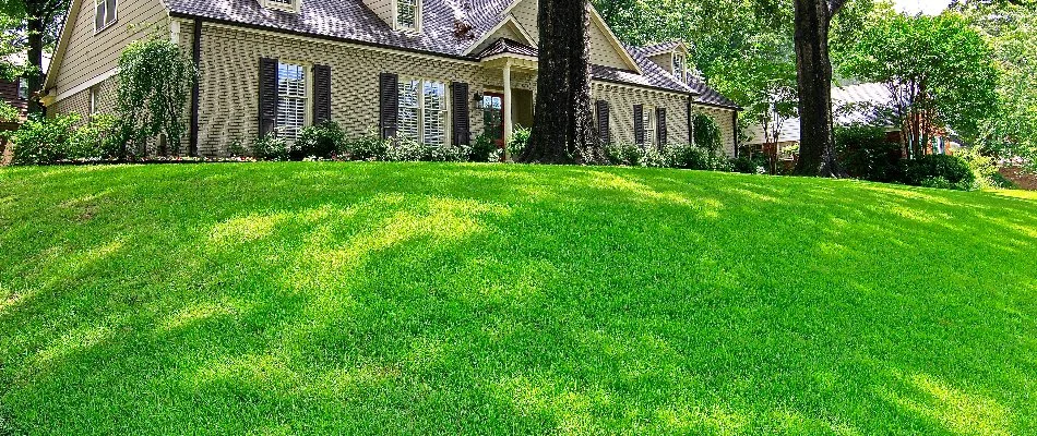 Vibrant, green front lawn in Memphis, TN, and a house.