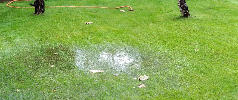 Water pooling on a lawn in Memphis, TN.