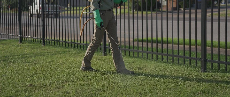Weed control application in Memphis, TN, by a professional.