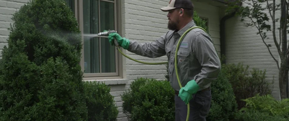 Worker spraying a shrub in Memphis, TN, with a treatment.