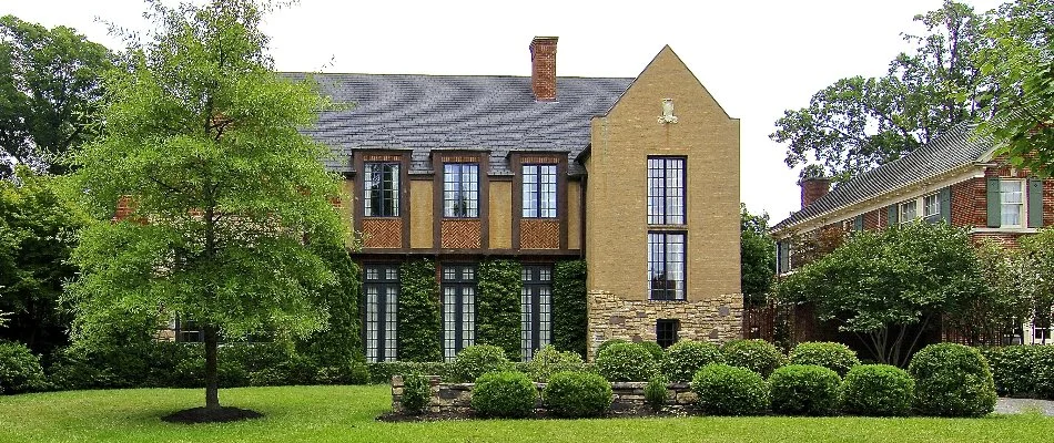 Yard in Memphis, TN, with healthy trees and shrubs.