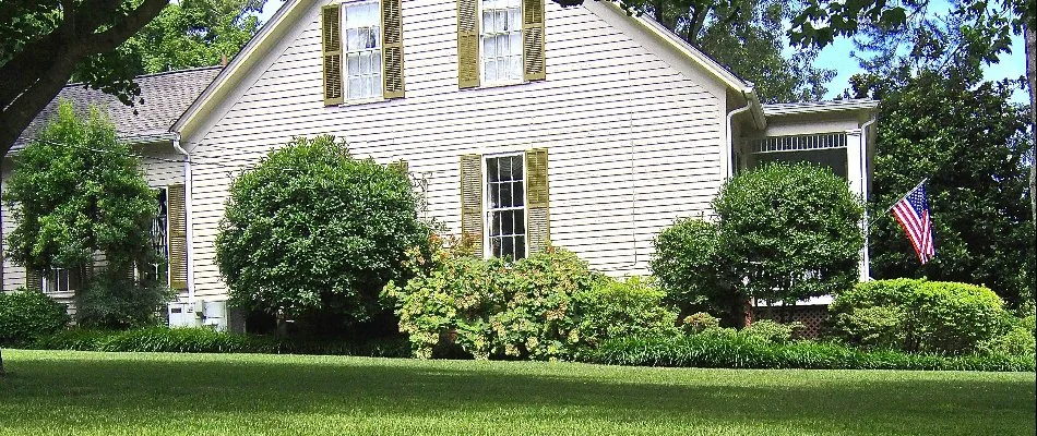 Yard in Memphis, TN, with thick shrubs.