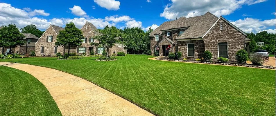 Neighborhood with lush grass in Mason, TN.