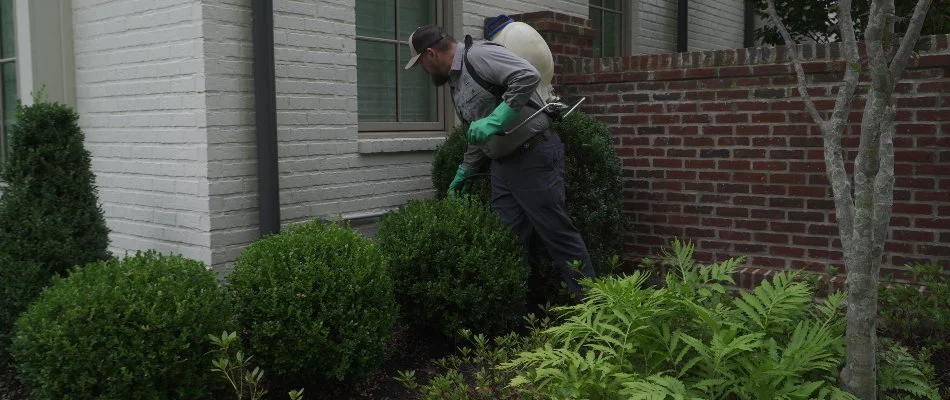 Professional applying weed control in a landscape bed in Memphis, TN.