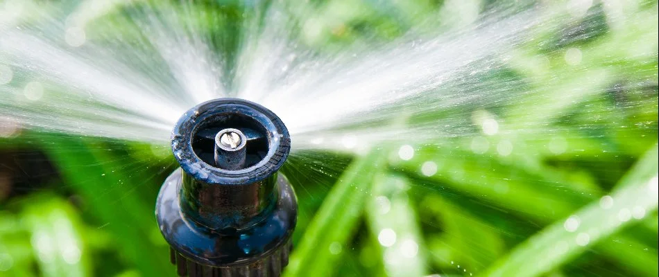 Sprinkler head watering a lawn in Mason, TN.