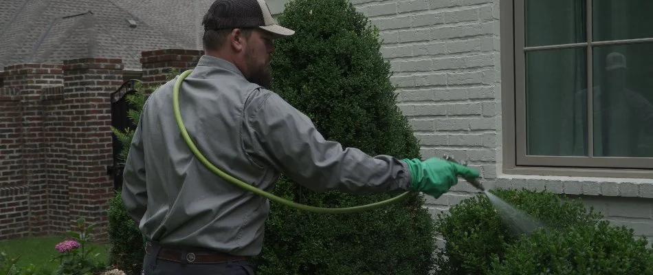 Worker applying a preventative disease treatment to plants in Memphis, TN.