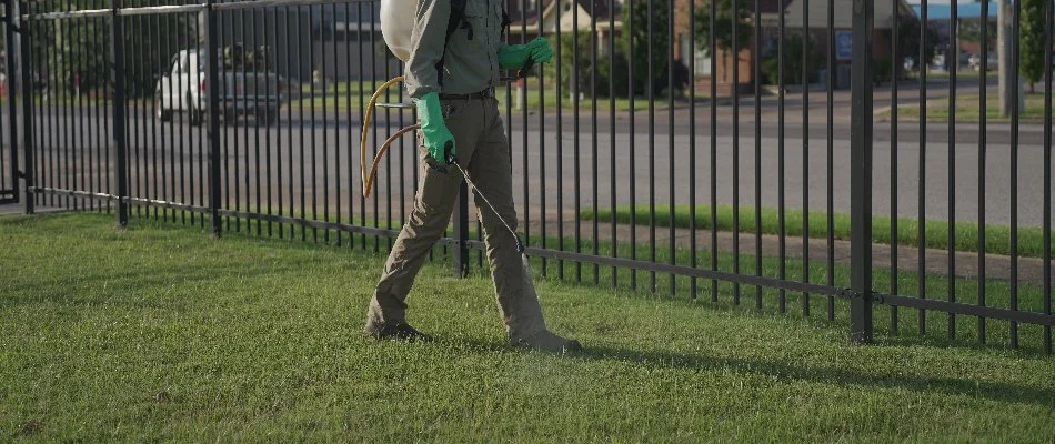 Worker spraying weed control treatment on lawn in Memphis, TN.
