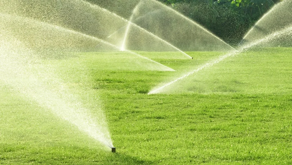 Irrigation system running after repairs in Germantown, TN.